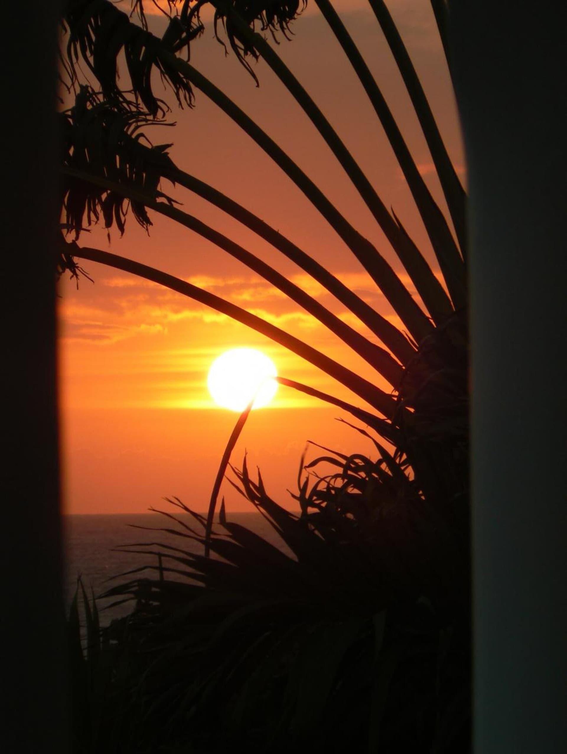 Sunset Resort